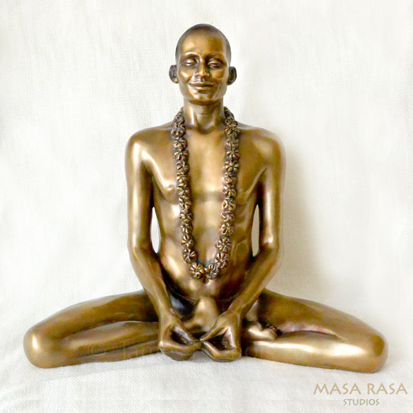 Yogi  (Young Nityananda)