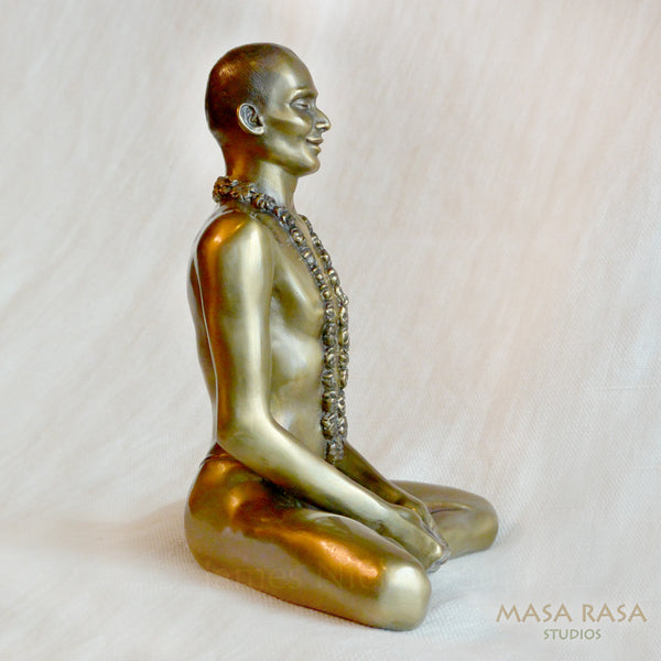 Yogi  (Young Nityananda)